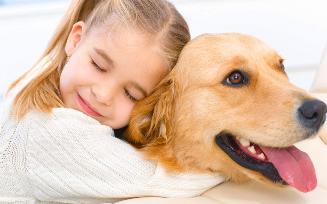 PET THERAPY: STORIA A LIETO FINE